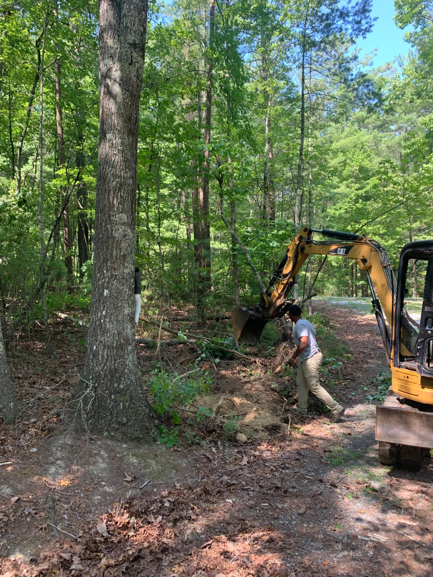 Crew member and mini excavator clearing brush along a wooded tree line